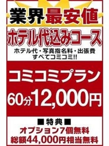 業界最安値ホテ込みコース